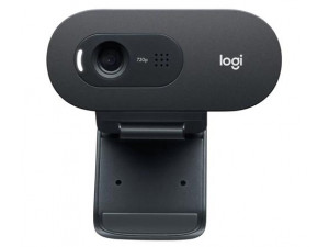 Webcam Logitech C505 HD Webcam Black